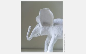 Eu (não) noto um elefante na sala, de Arkadiy Ivashkin