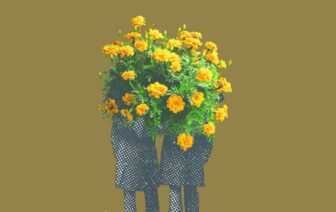 Já não há primaveras… nem na Primavera