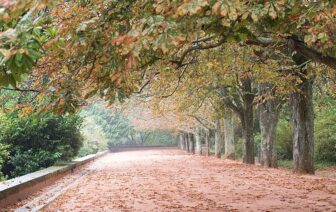 Parque de Serralves