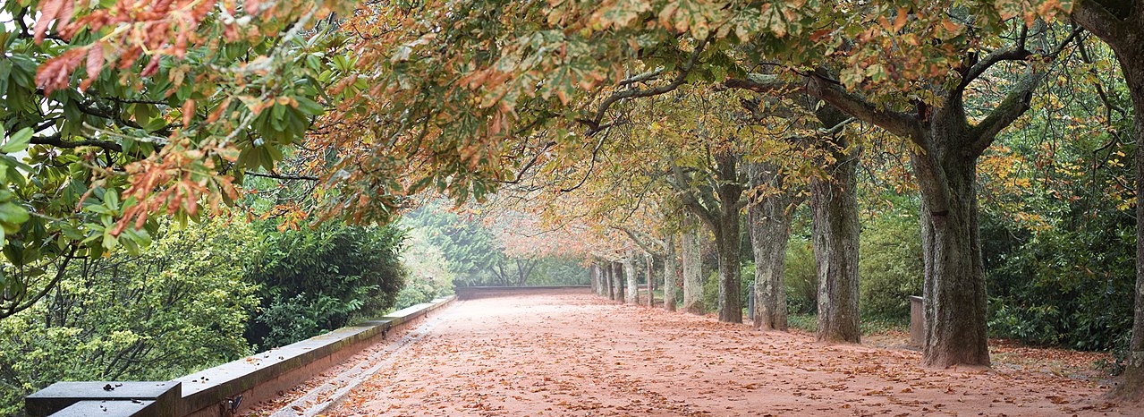 Parque de Serralves
