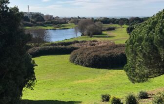 Parque da Cidade do Porto