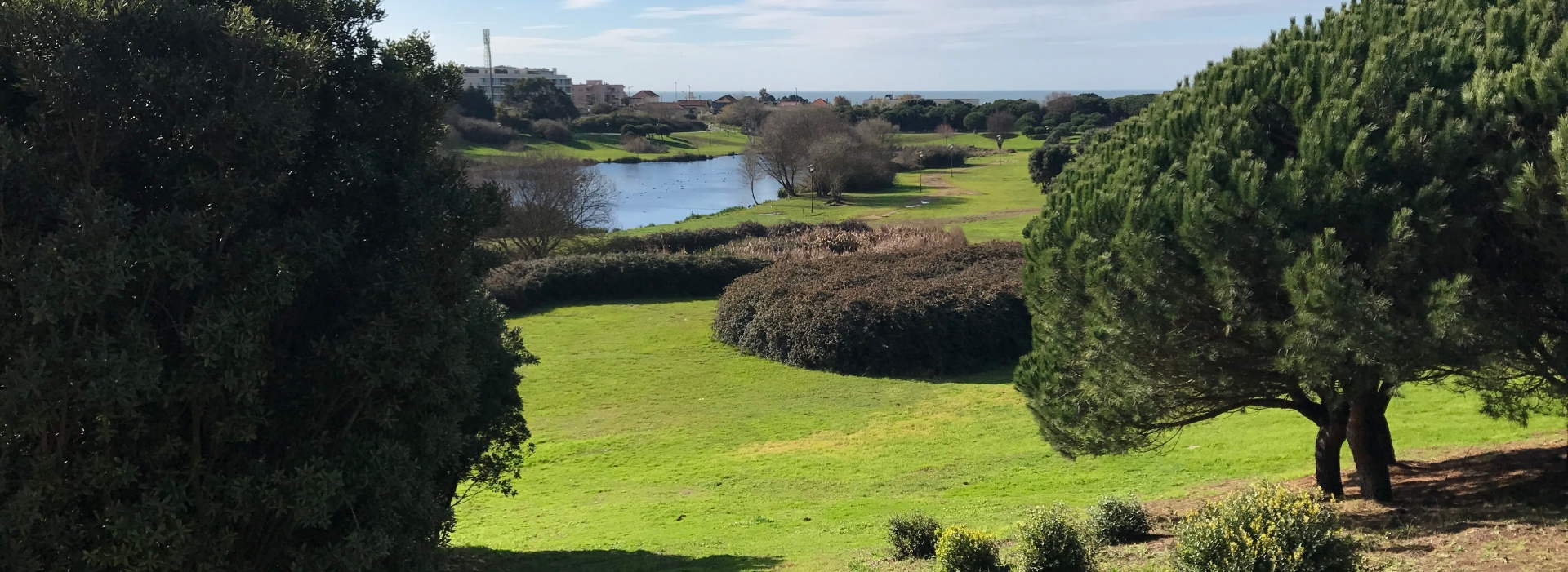 Parque da Cidade do Porto