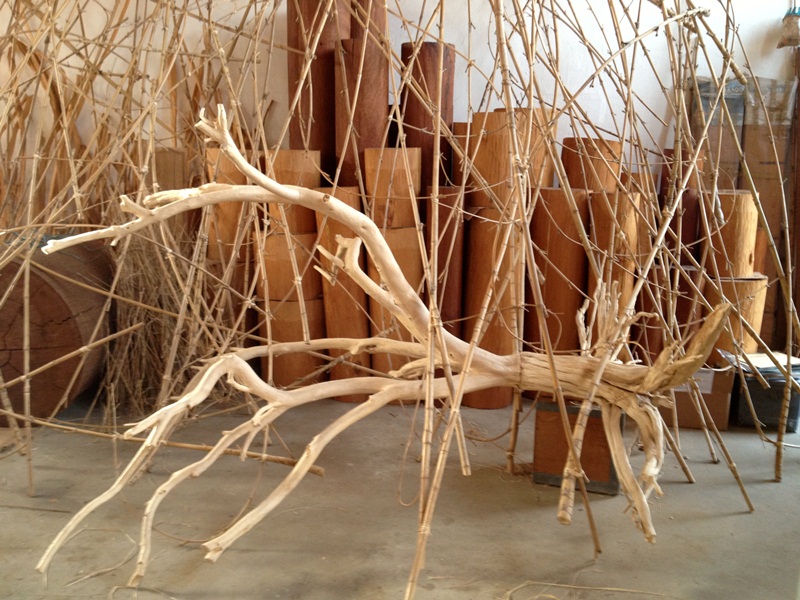 ALBERTO CARNEIRO: ARTE VIDA | VIDA ARTE ― REVELAÇÕES DE ENERGIAS E MOVIMENTOS DA MATÉRIA