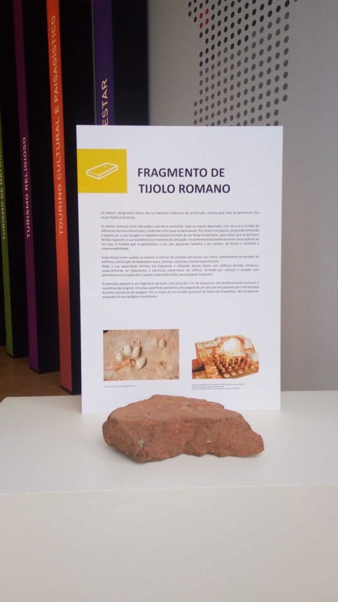 Mostra da Arqueologia da Trofa