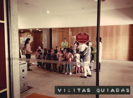 Visitas Guiadas