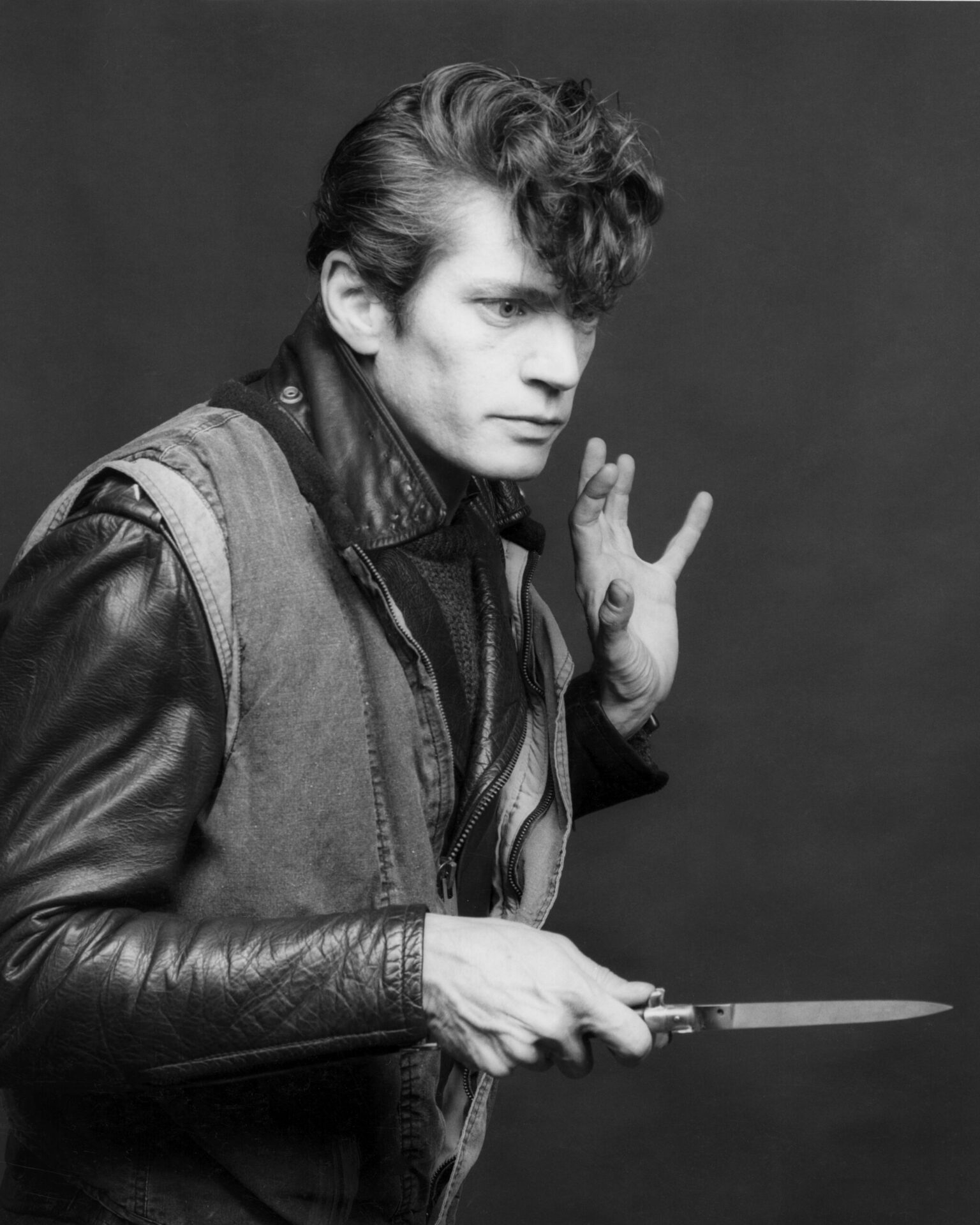 Robert Mapplethorpe: Pictures