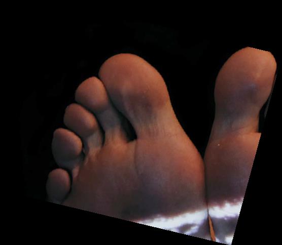 Quarteto Contratempus / Simplex