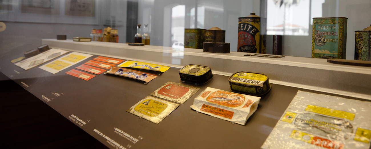 Visitas Guiadas às Exposições Permanentes Mais Atividade