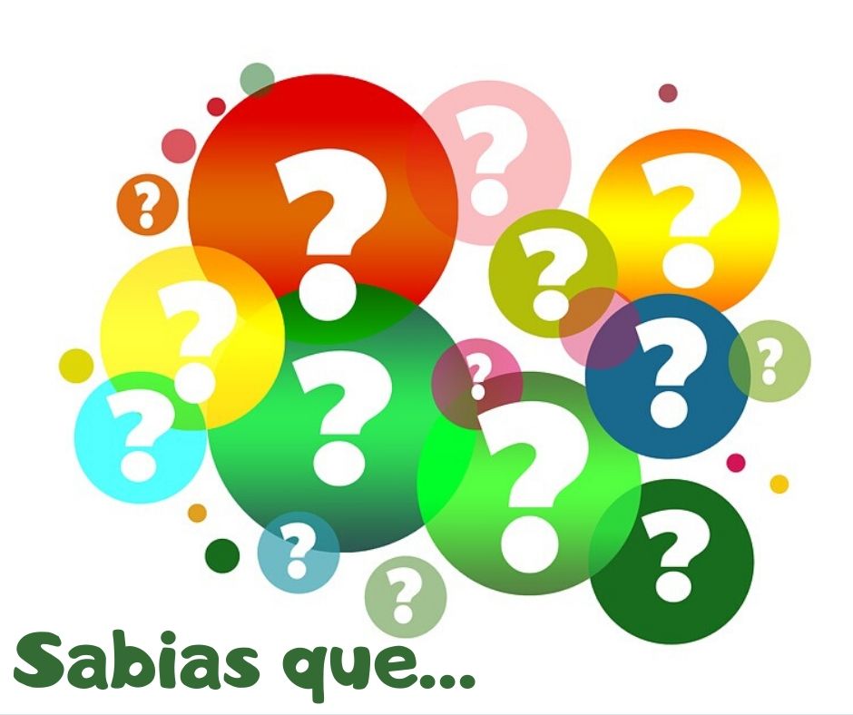 Sabias que…
