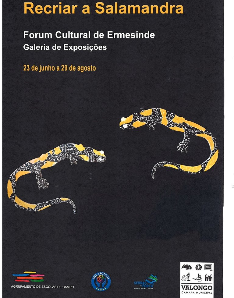 Recriar a Salamandra