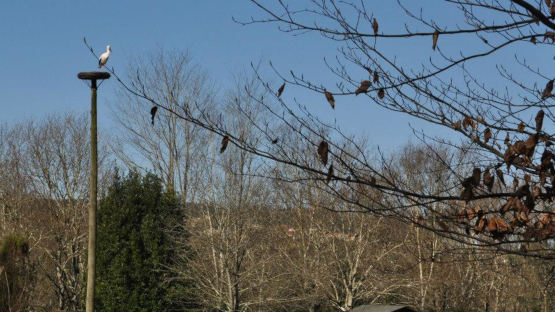 Parque Biológico de Gaia