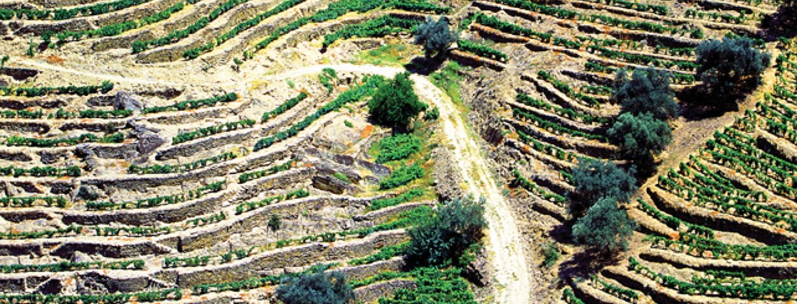 The Song of the Earth – Orquestra Sinfónica do Porto Casa da Música
