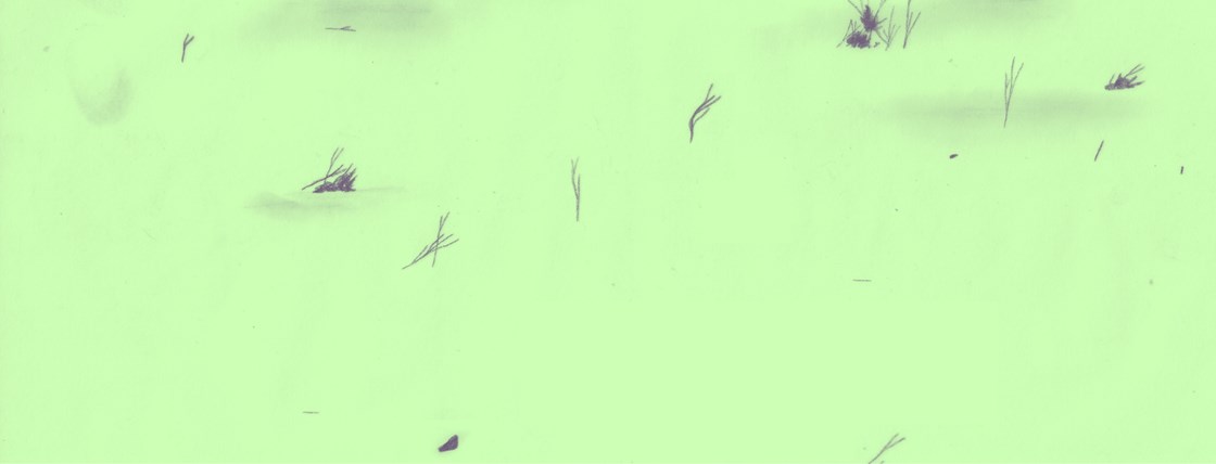 3º Módulo – Canções de Protesto no Porto Pré-Revolucionário