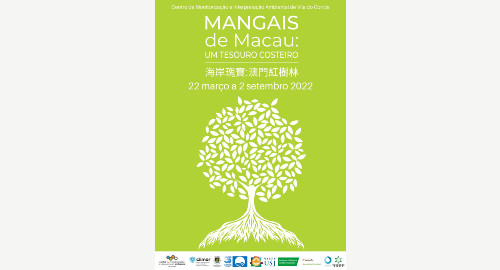 Mangais de Macau: Um Tesouro Costeiro