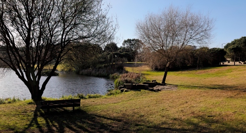 Parque da Cidade: Composição da Paisagem