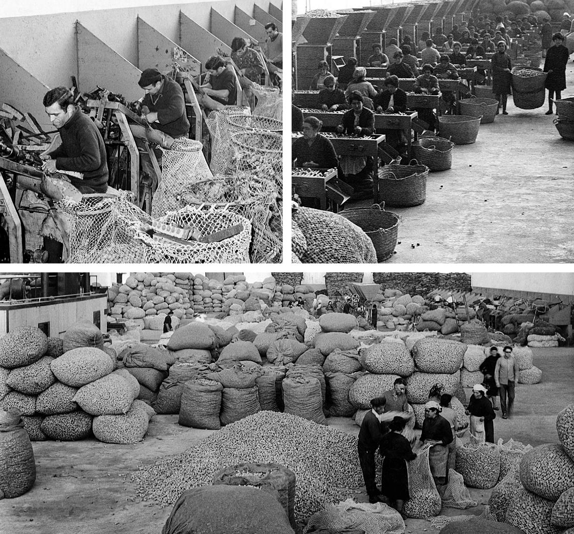 Memória Sonora da Cortiça