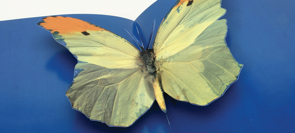 Déjà-vu. Repetição e Diferença