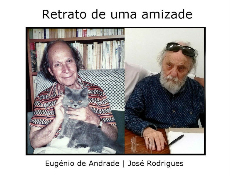 Retrato de uma Amizade