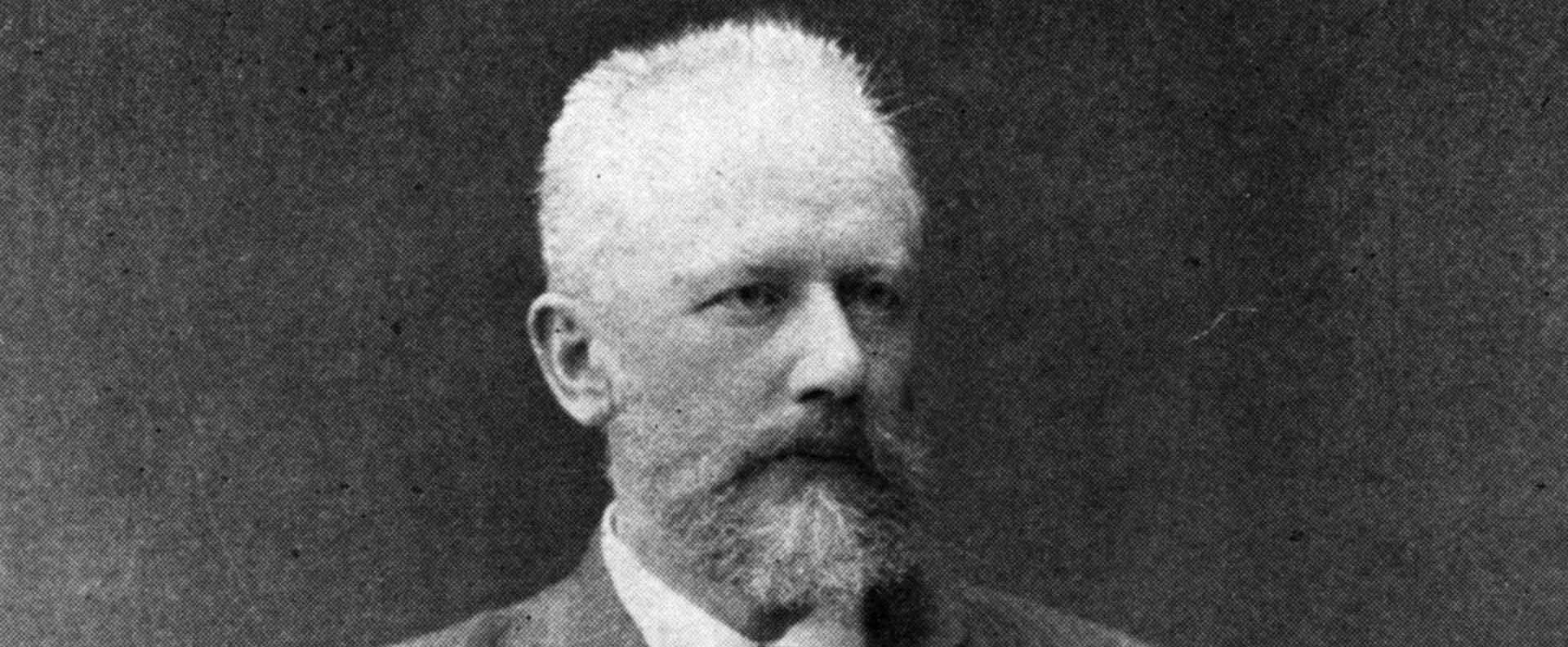 A Violin for Tchaikovsky
