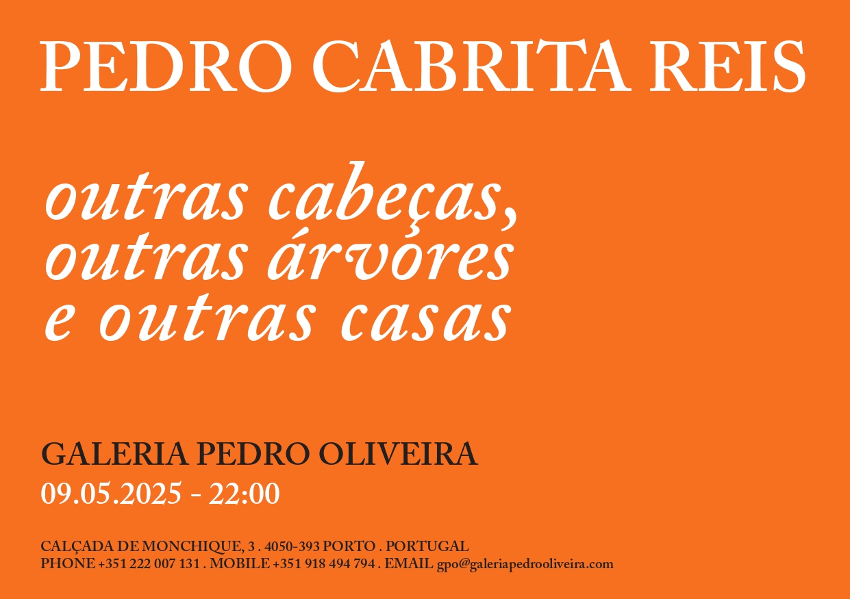Pedro Cabrita Reis - other heads, other trees and other houses