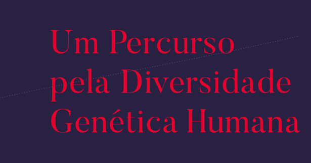 A Journey through Human Genetic Diversity