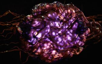 Anito – Justin Talplacido Shoulder & the Future Folklore Collective (PH/AU)