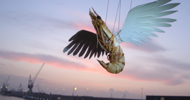 Shrimp Tales – Hotel Modern & Arthur Sauer (NL)