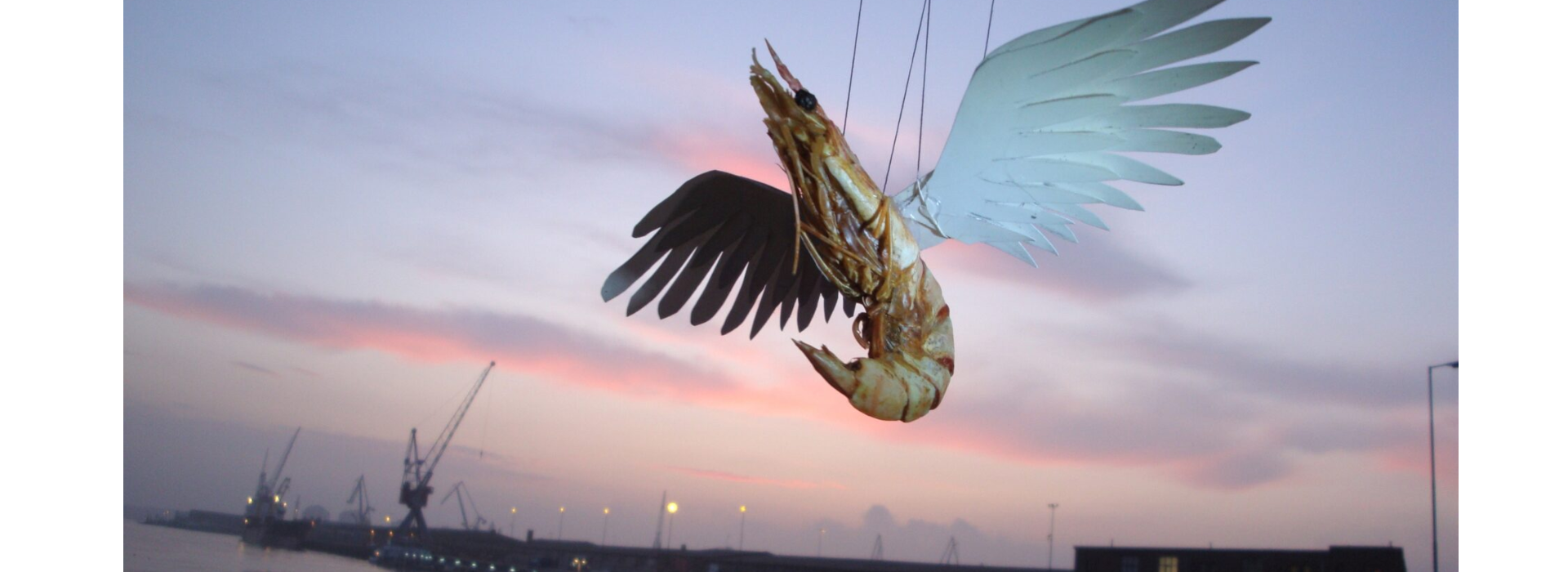 Shrimp Tales – Hotel Modern & Arthur Sauer (NL)
