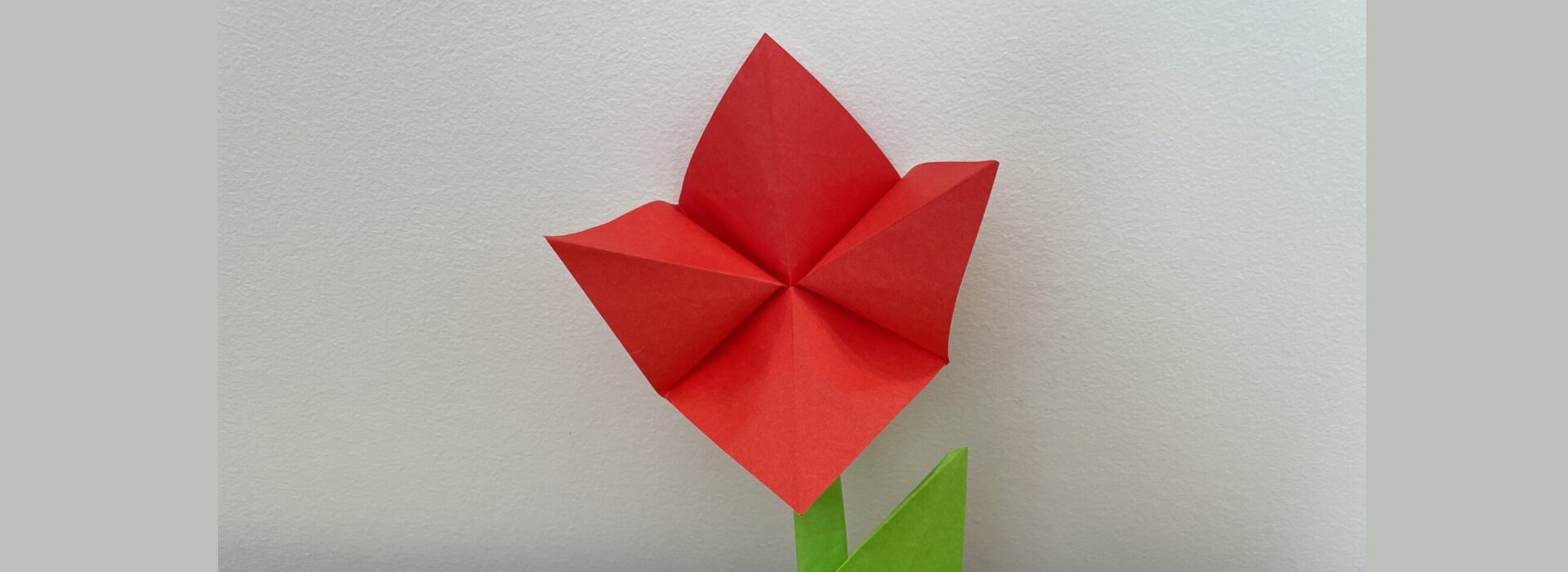 Origami
