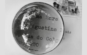 Um cão que sonha – Agustina, de Luísa Ferreira