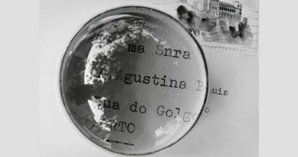 Um cão que sonha – Agustina, de Luísa Ferreira