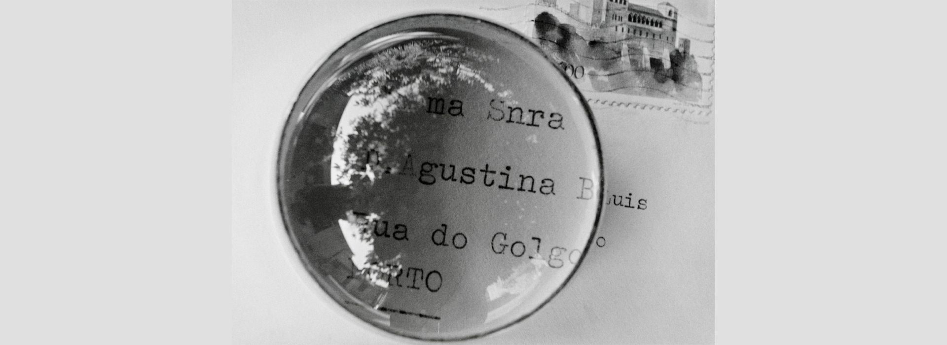 Um cão que sonha – Agustina, de Luísa Ferreira