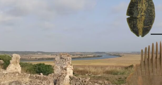 Curso de Verão – As plantas e as pessoas: uma introdução ao estudo das paisagens, agricultura e alimentação do passado