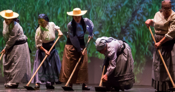 Numa noite o ano inteiro