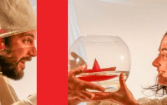 Conchas – Famílias