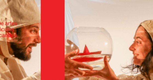 Conchas – Famílias