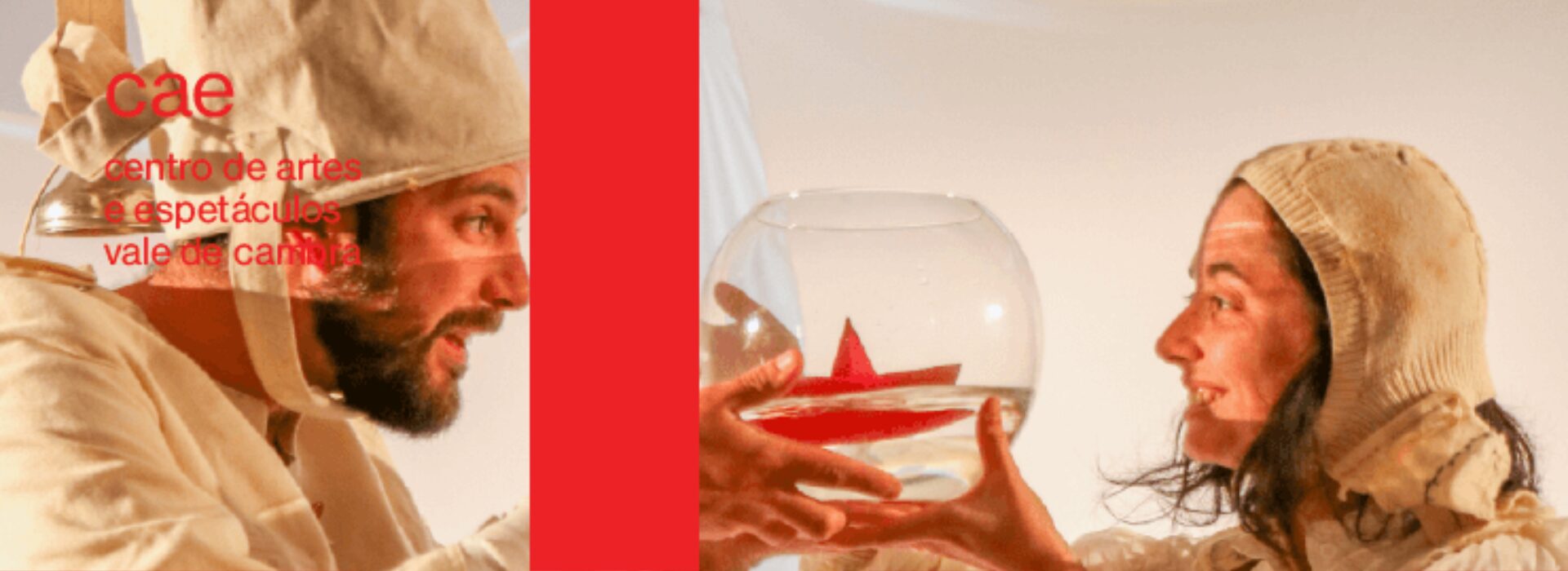 Conchas – Famílias