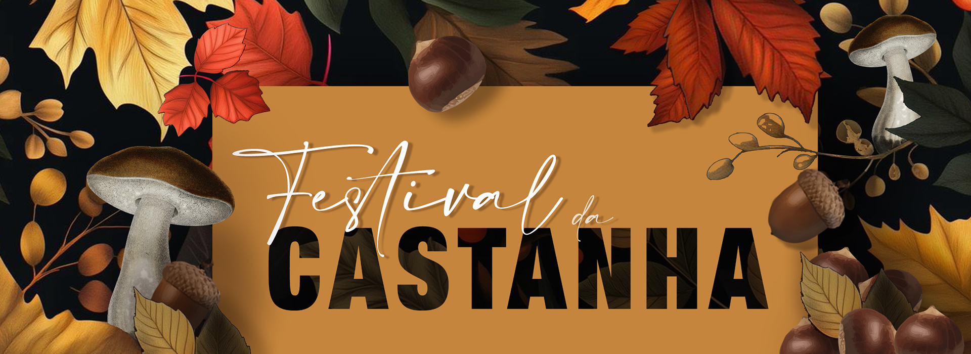 Festival da Castanha