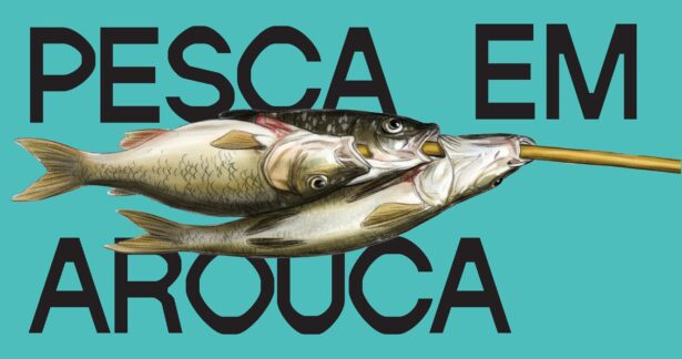 Pesca em Arouca