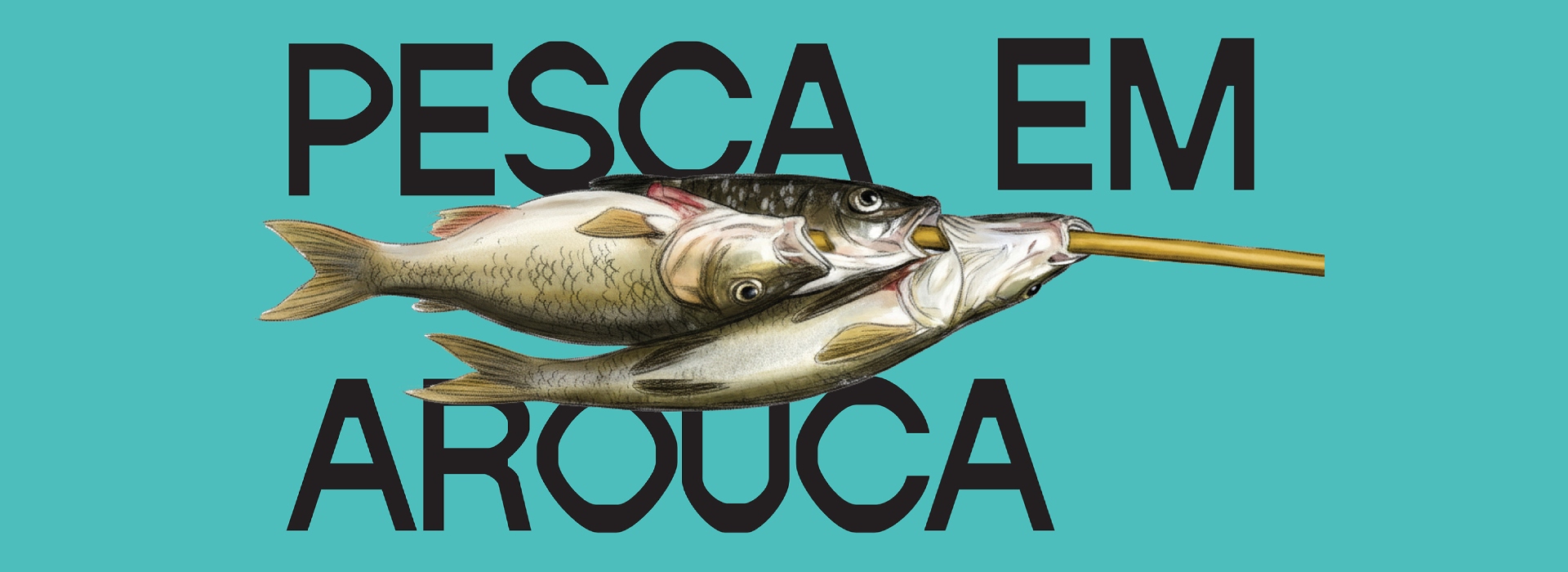 Pesca em Arouca