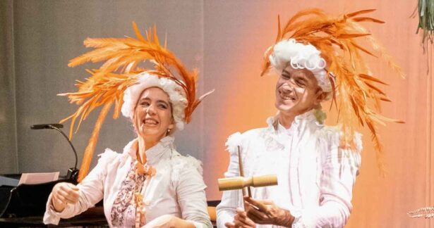 A Flauta Mágica do Mozart