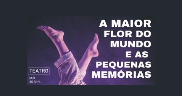 A Maior Flor do Mundo e as Pequenas Memórias