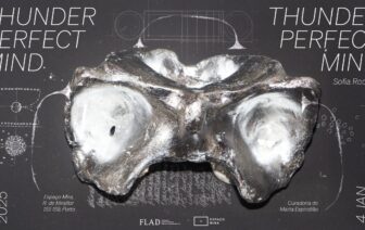 Thunder, Perfect Mind