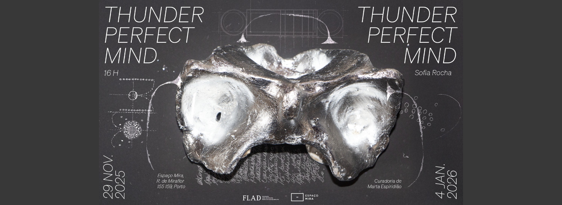 Thunder, Perfect Mind