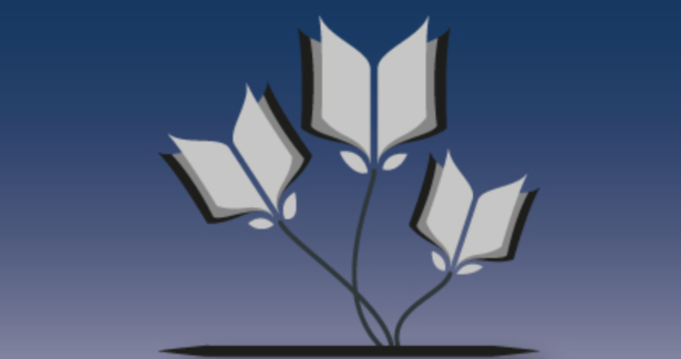 A Queda dum Anjo, de Camilo Castelo Branco