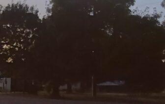 Uma primeira vez a viajar ao redor do Mundo, de Nuno Pinho