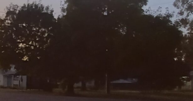 Uma primeira vez a viajar ao redor do Mundo, de Nuno Pinho