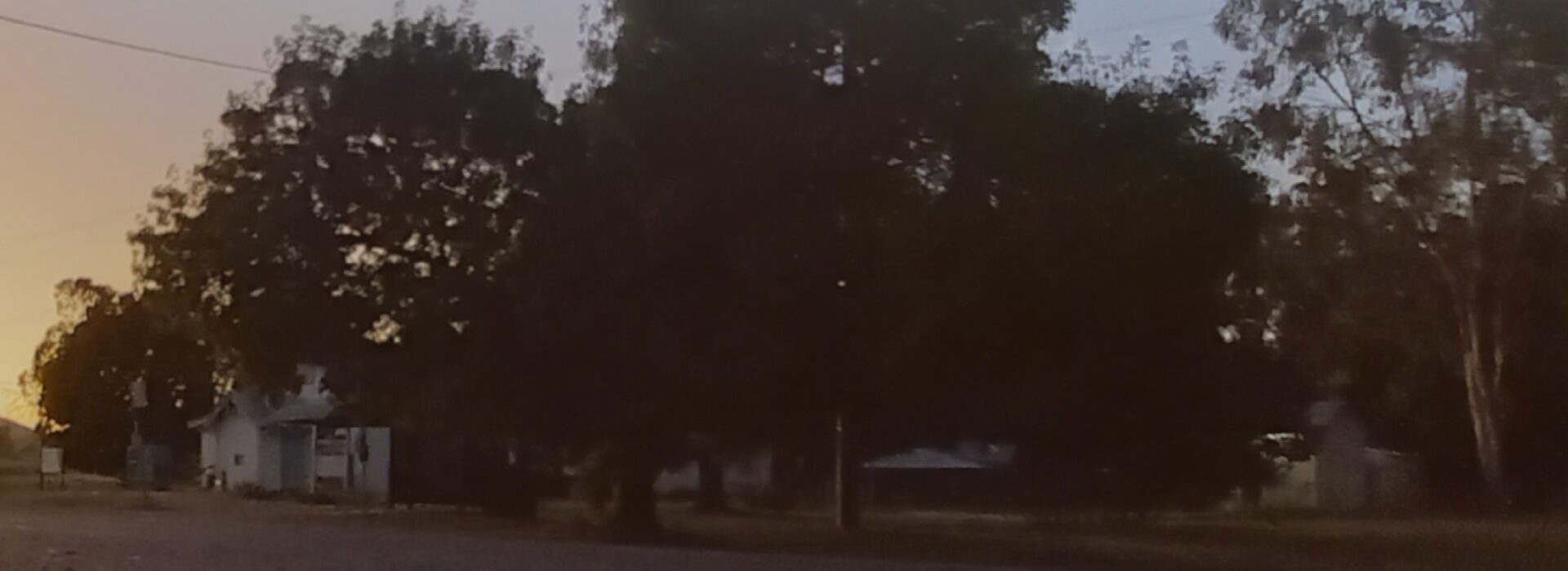 Uma primeira vez a viajar ao redor do Mundo, de Nuno Pinho