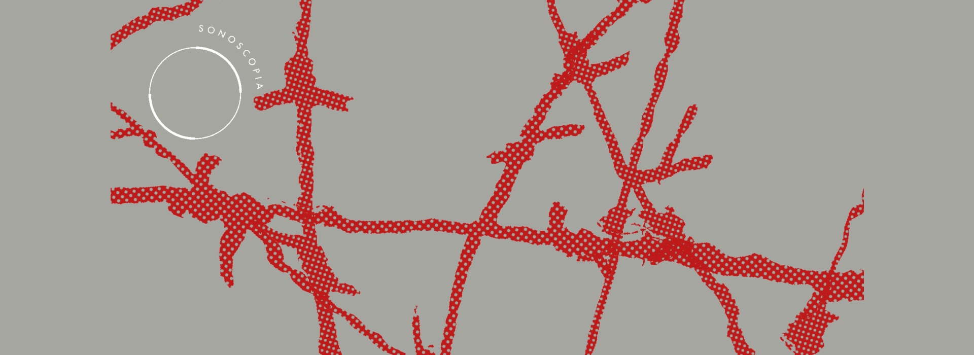 Som Desorganizado 2025