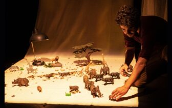 A Caminhada dos Elefantes